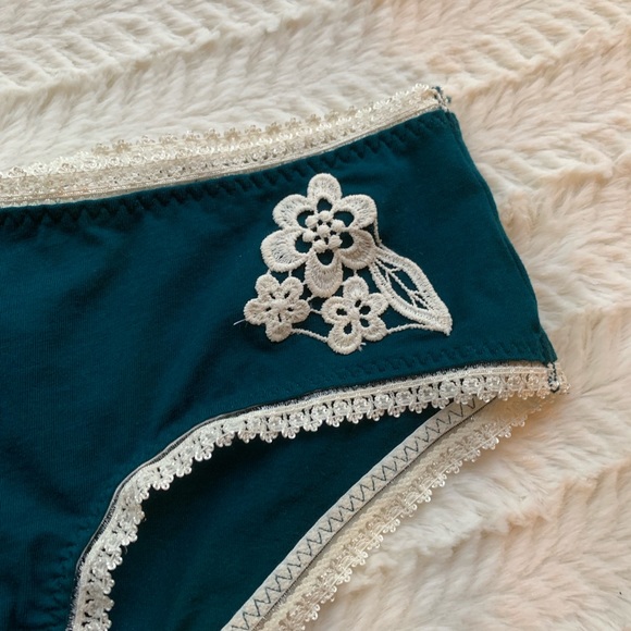 Free People Cheyenne Hipster Panty - Picture 6 of 12